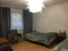 Czaple na Muchoborze, Wrocław